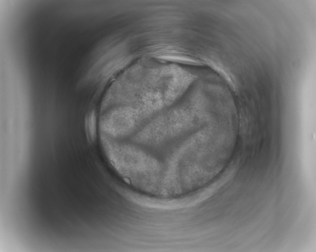 X0000101100014200807241037