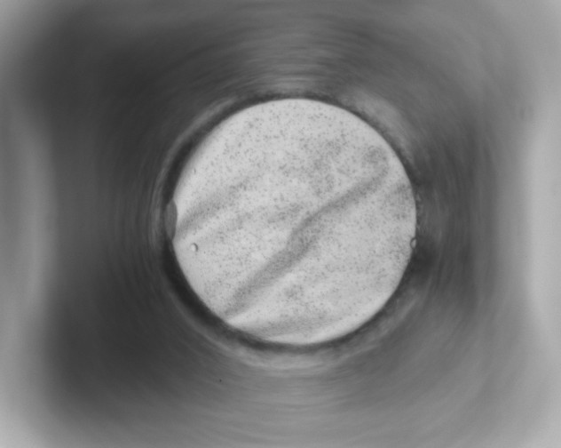 X0000101100016200807241037