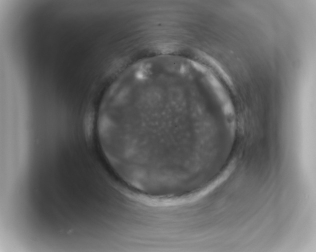 X0000101100018200807241037