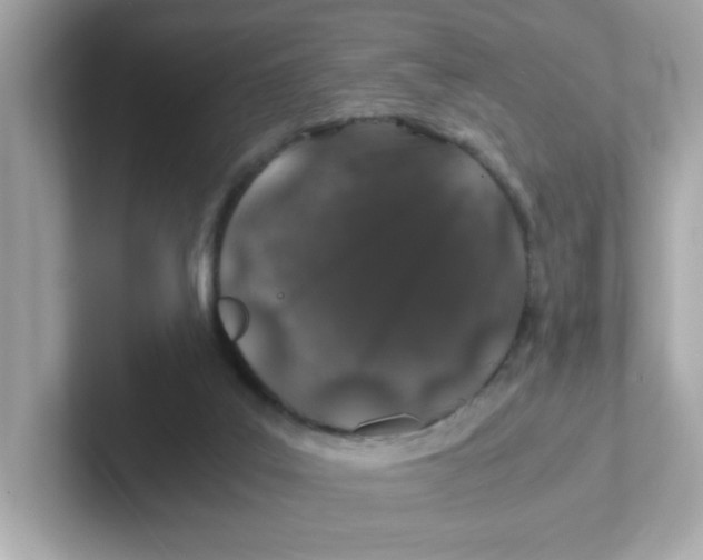 X0000101100019200807241037