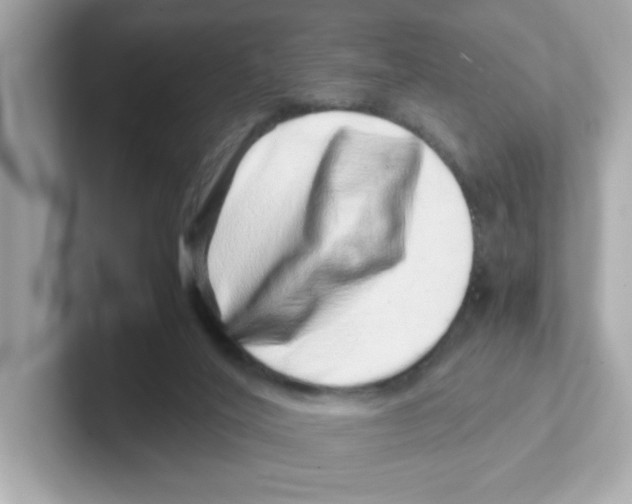 X0000101100020200807241037