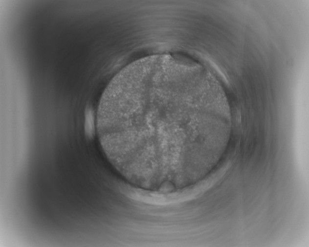 X0000101100022200807241037