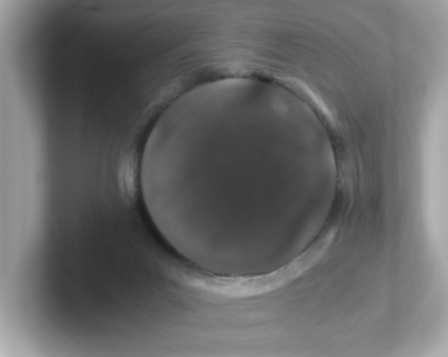 X0000101100023200807241037