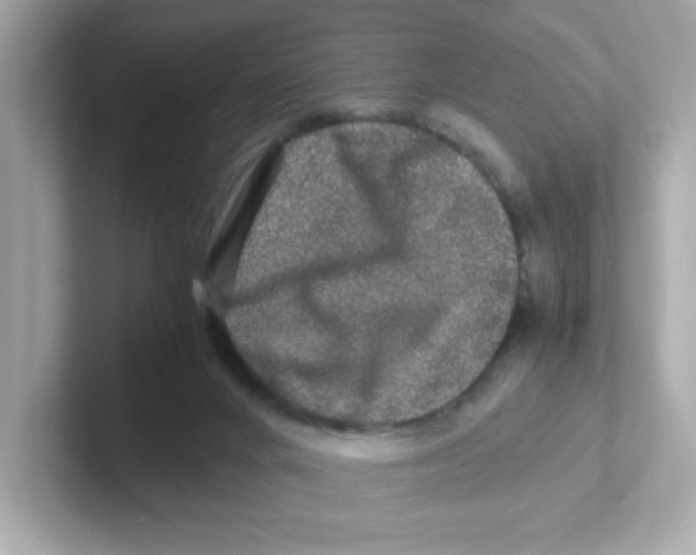 X0000101100024200807241037