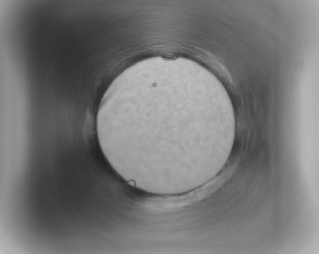 X0000101100025200807241037