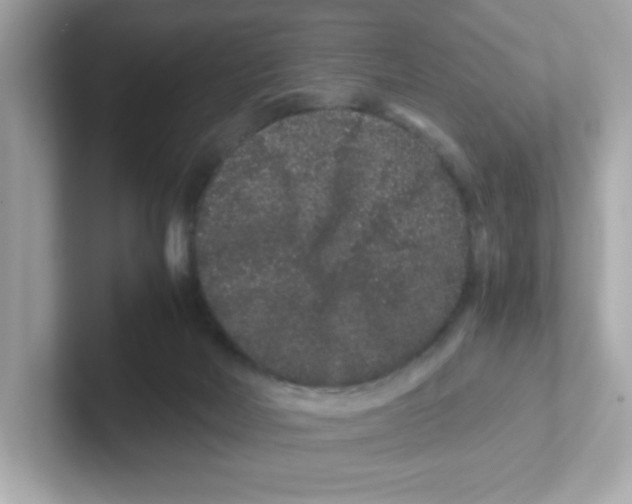 X0000101100026200807241037