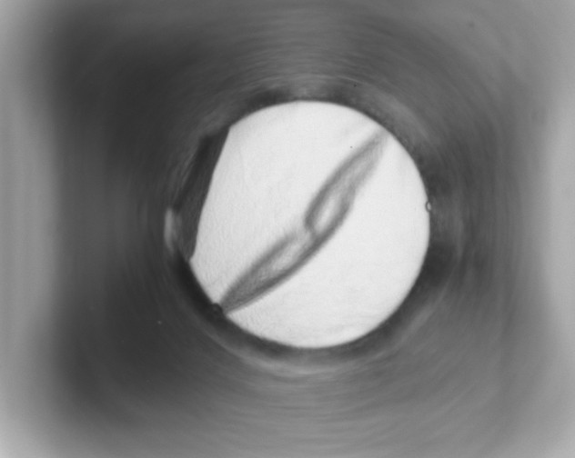X0000101100028200807241037