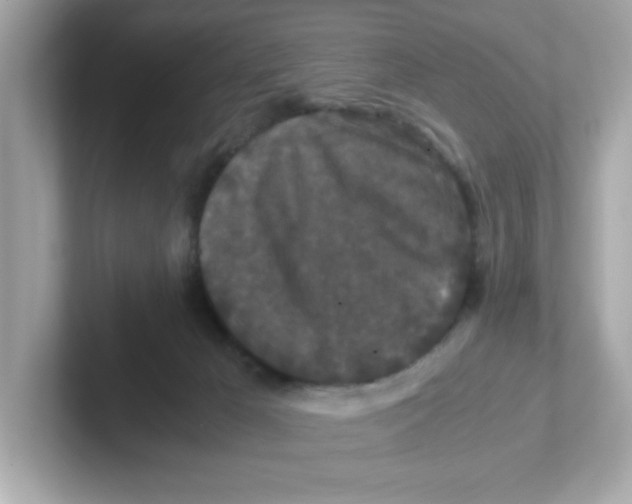 X0000101100029200807241037