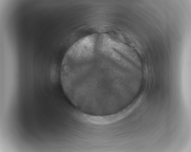X0000101100030200807241037