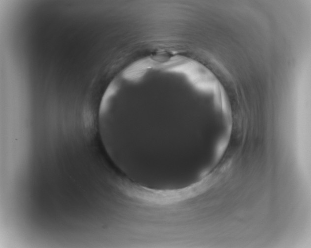 X0000101100031200807241037