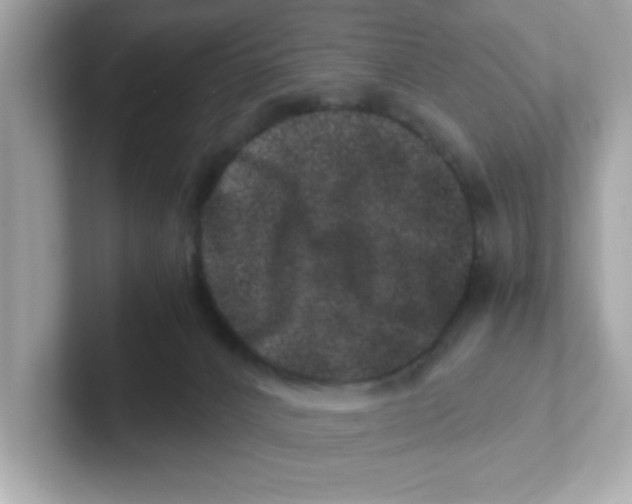 X0000101100032200807241037