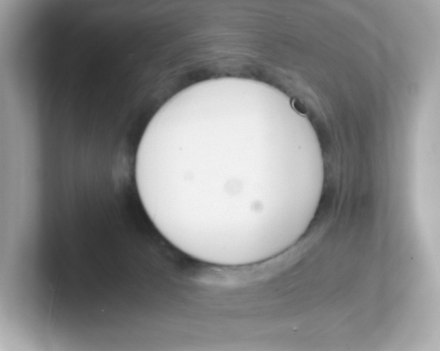 X0000101100033200807241037
