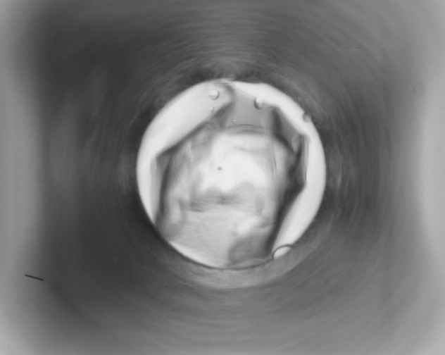 X0000101100034200807241037