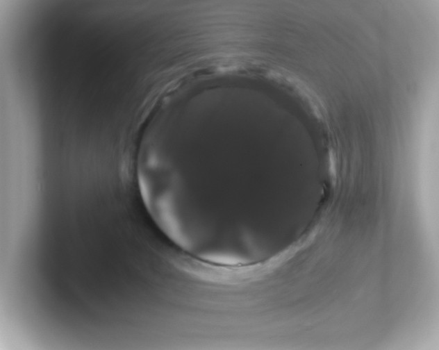 X0000101100035200807241037