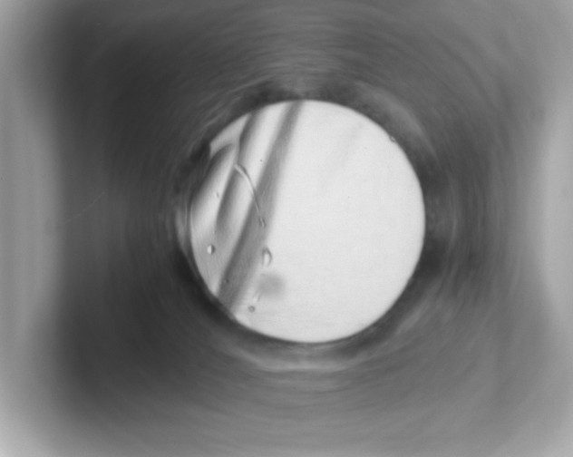 X0000101100036200807241037