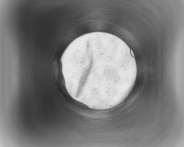 X0000101100040200807241037