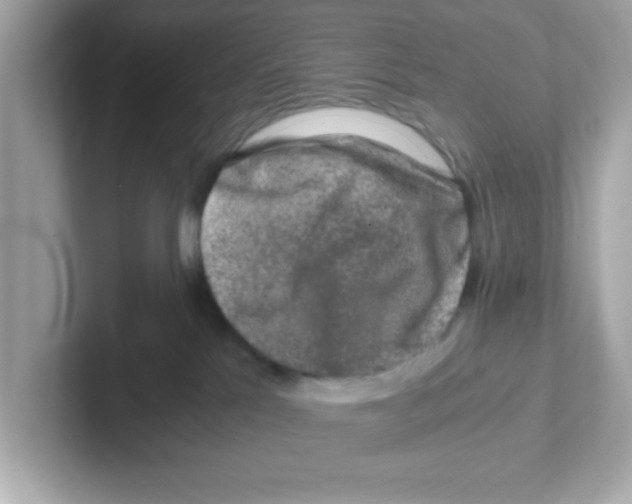 X0000101100041200807241037
