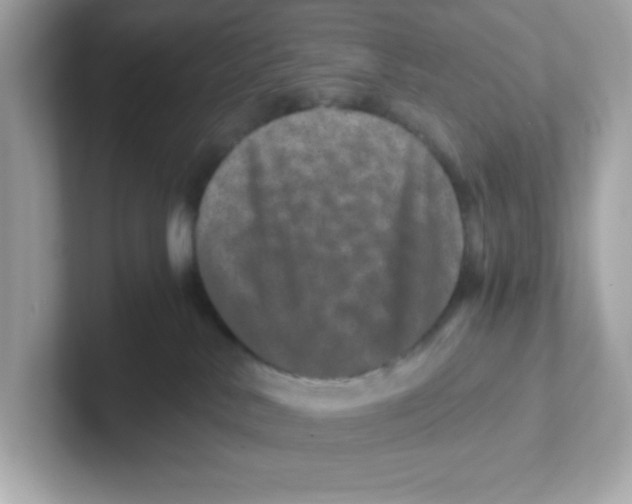 X0000101100042200807241037