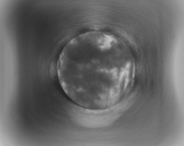 X0000101100043200807241037