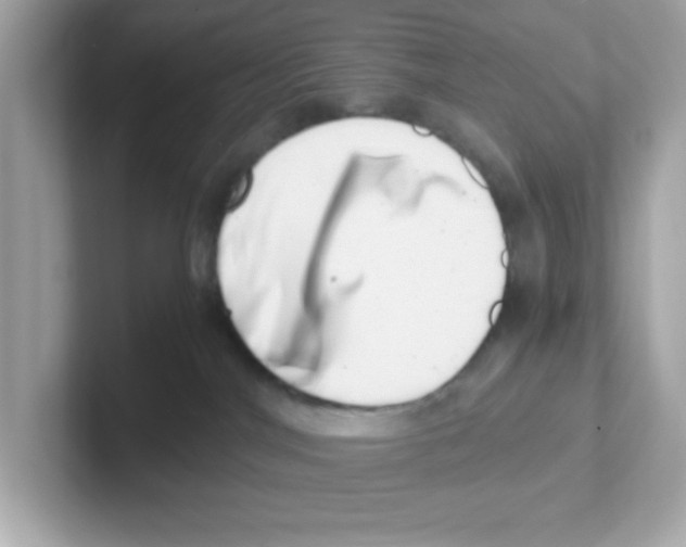 X0000101100044200807241037