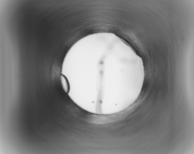 X0000101100045200807241037