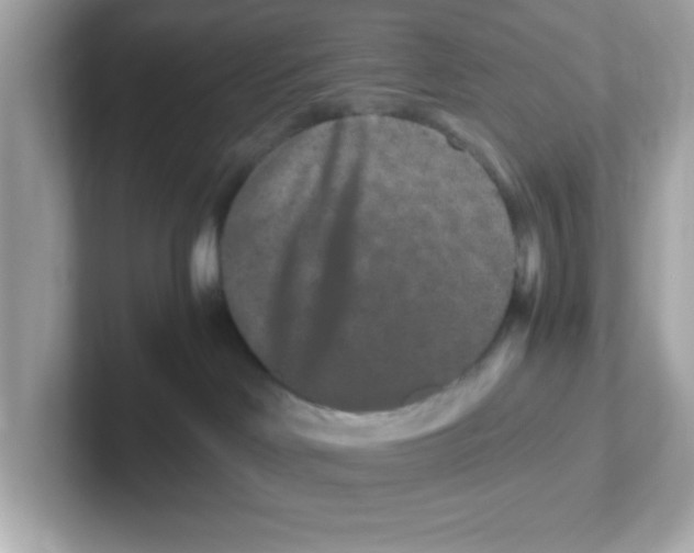 X0000101100046200807241036