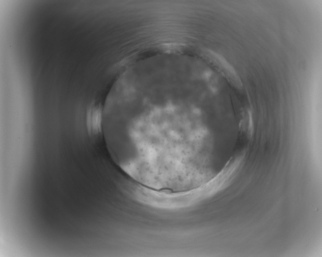 X0000101100047200807241036