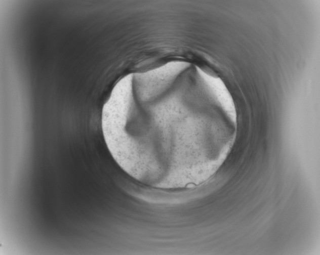 X0000101100048200807241036
