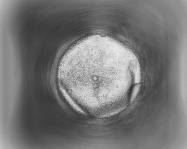 X0000101100049200807241036