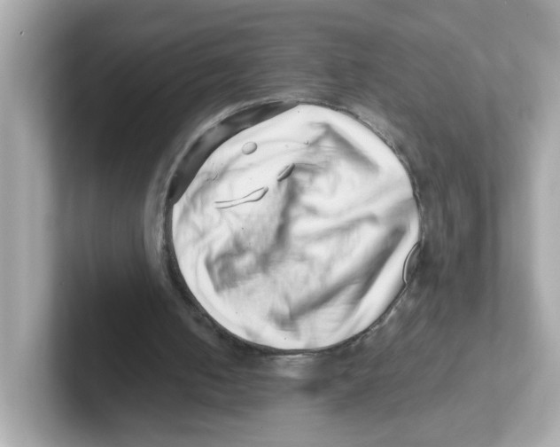 X0000101100050200807241036
