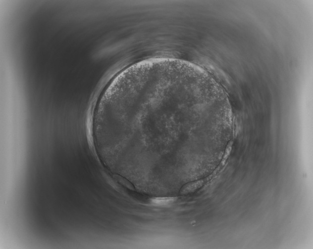 X0000101100051200807241036
