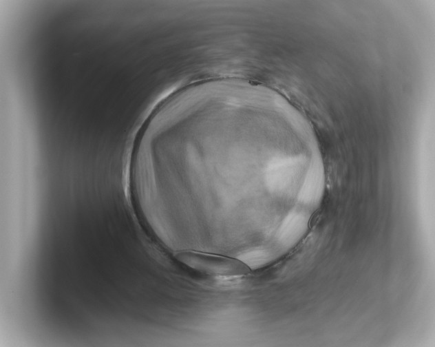 X0000101100052200807241036