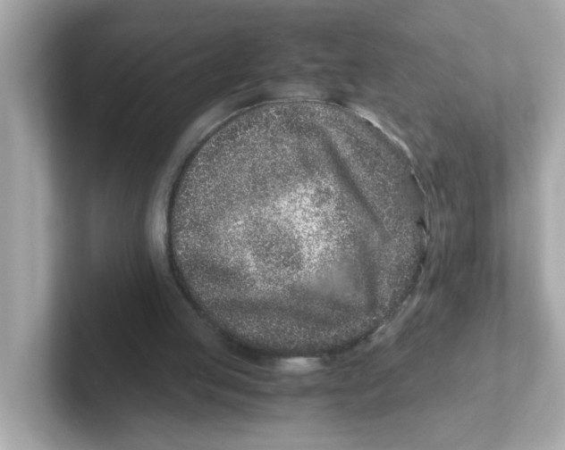 X0000101100053200807241036