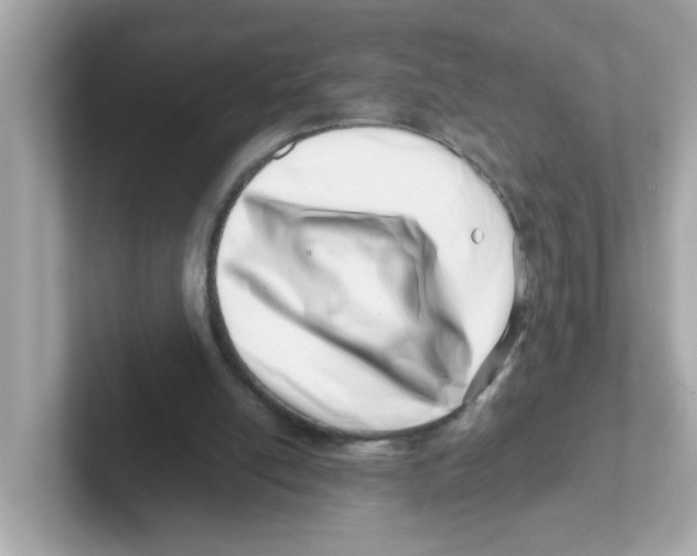 X0000101100054200807241036