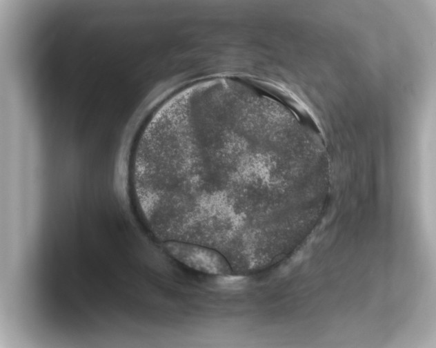 X0000101100055200807241036