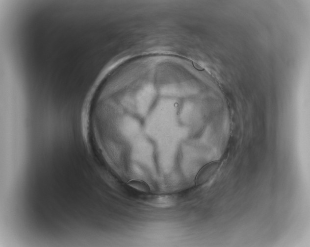 X0000101100056200807241036