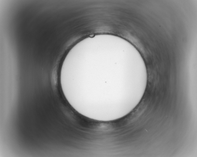 X0000101100060200807241036
