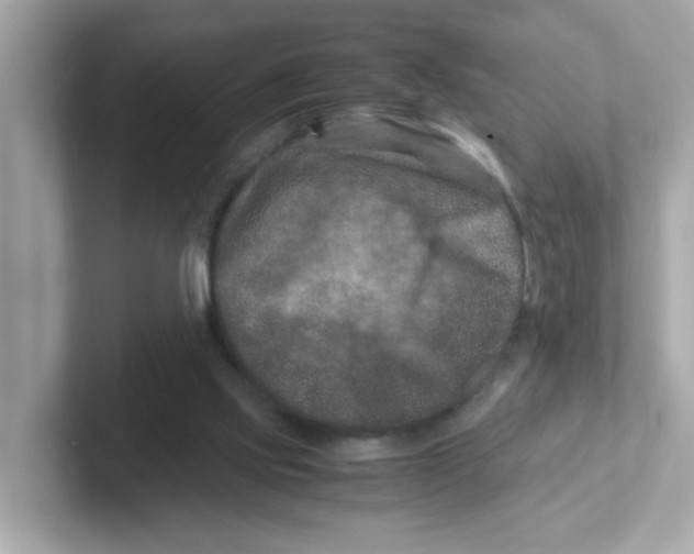 X0000101100061200807241036