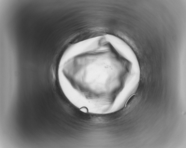 X0000101100062200807241036