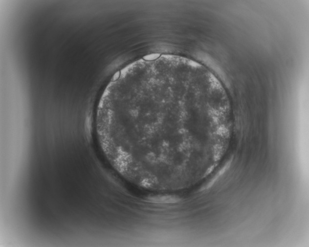 X0000101100063200807241036