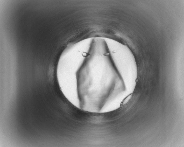 X0000101100066200807241036