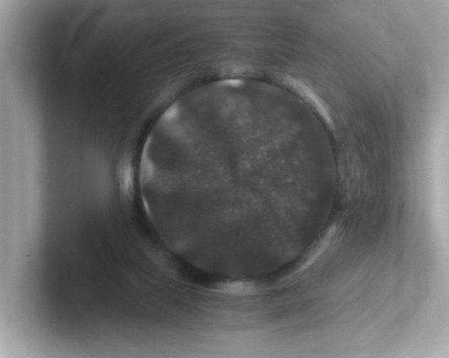 X0000101100067200807241036