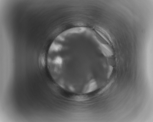 X0000101100069200807241036