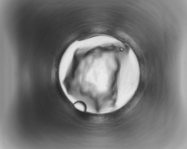 X0000101100071200807241036