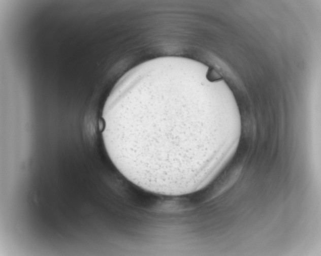 X0000101100072200807241036