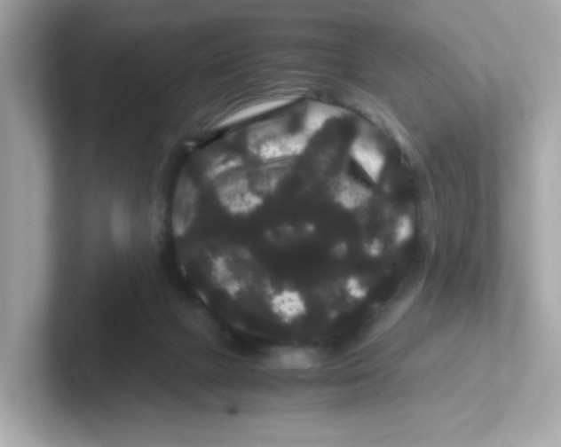 X0000101100073200807241036