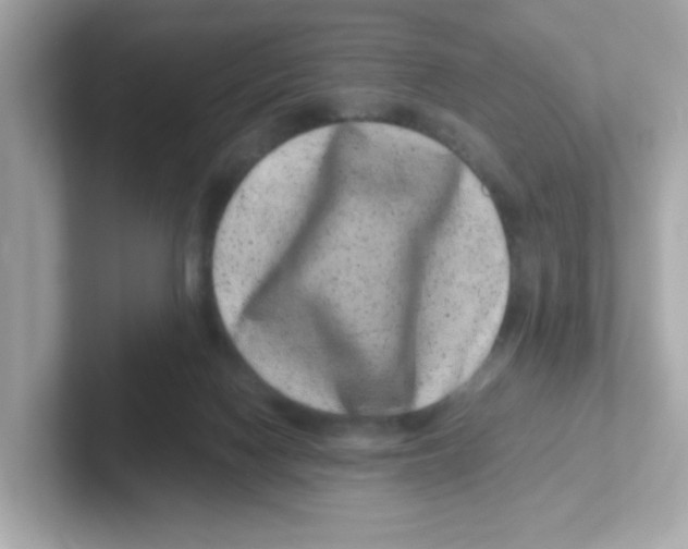 X0000101100074200807241036