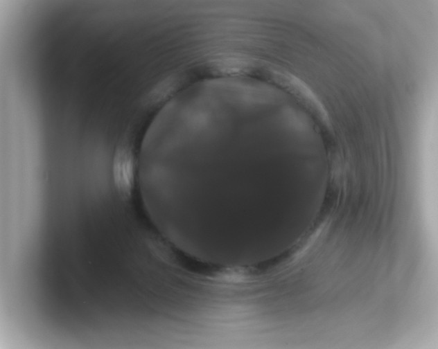 X0000101100076200807241036