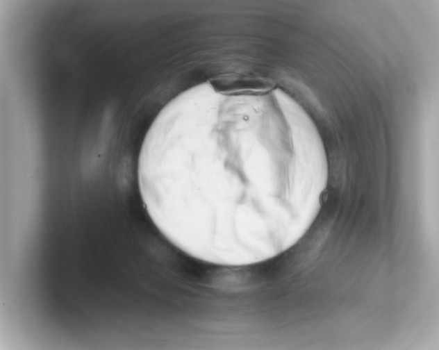 X0000101100077200807241036