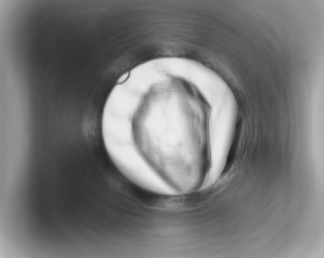 X0000101100078200807241036
